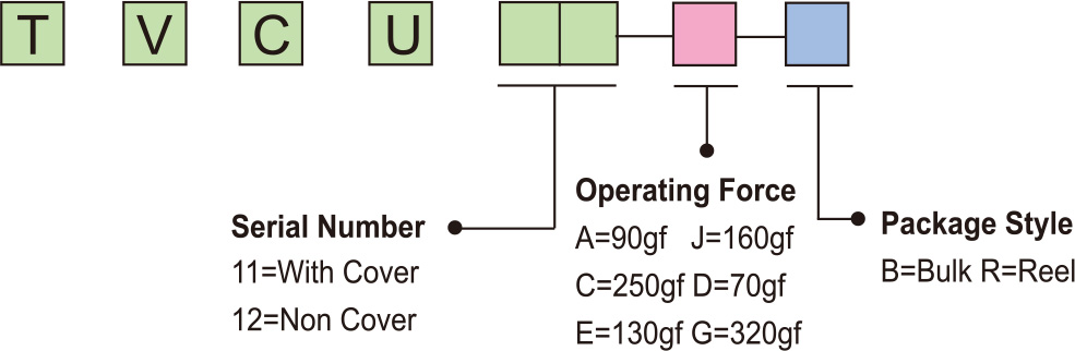 C11-21.jpg