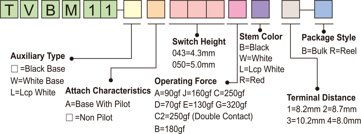 B11-21.jpg