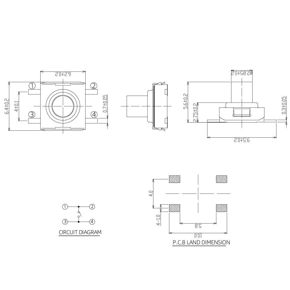 2025112112715184.jpg TVEF15.jpg