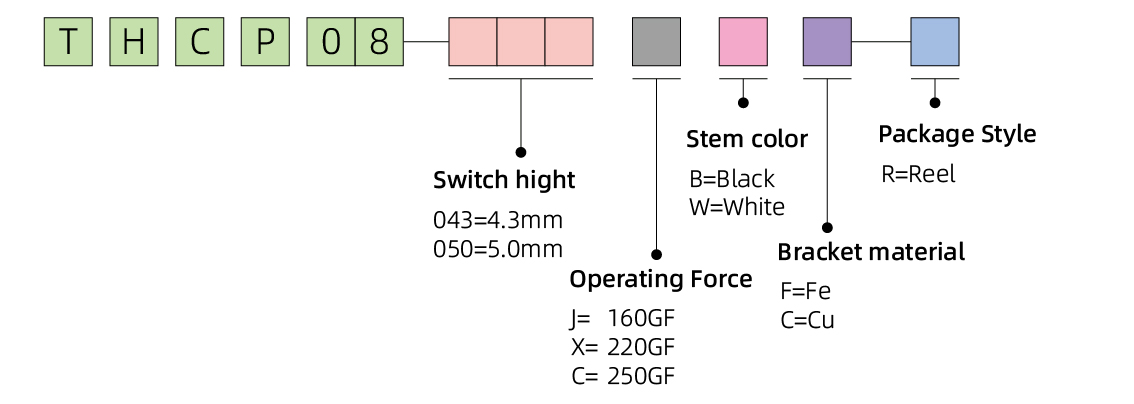 THCP08-02.jpg
