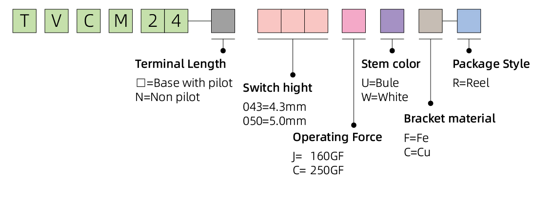TVCM24_画板 1 副本.jpg