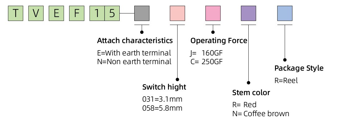 TVEF15_画板 1 副本 6.jpg