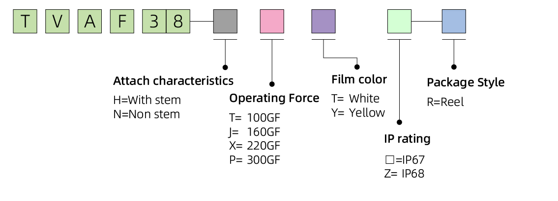TVAF38_画板 1 副本 8.jpg